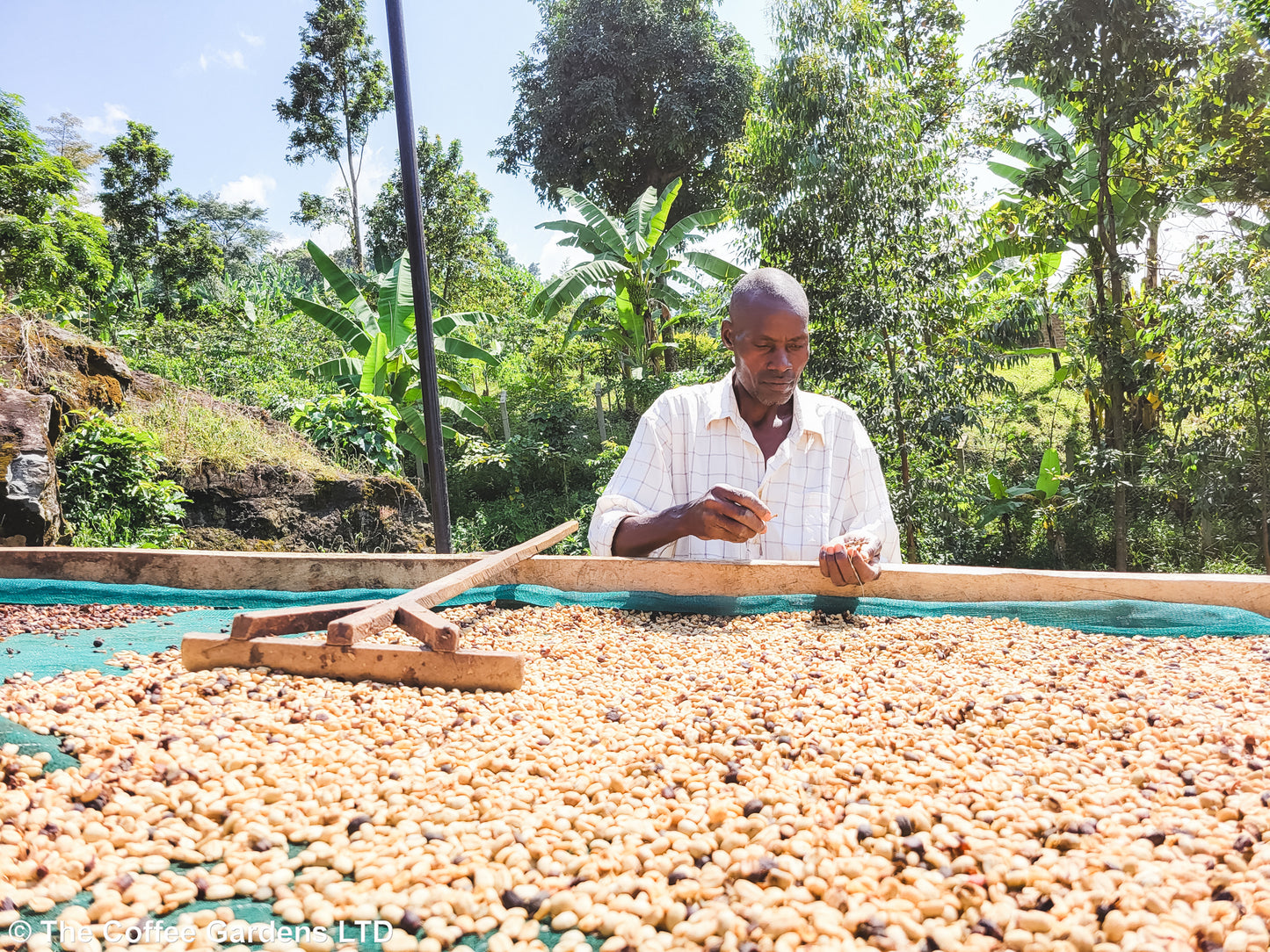 Buwobodeya / Washed / Uganda / 250g