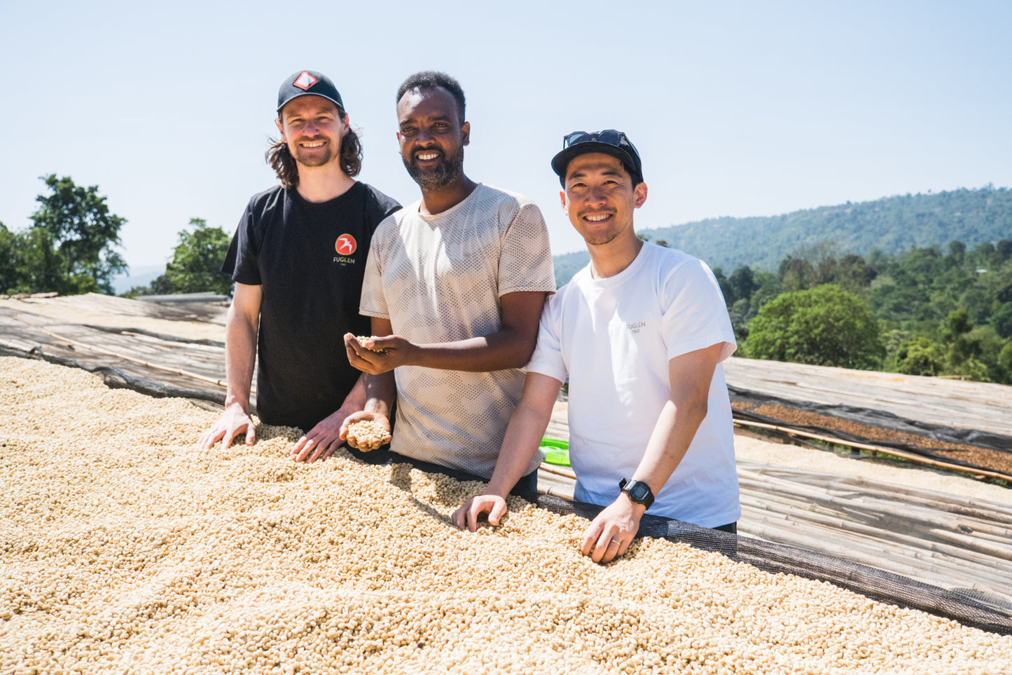 Danche Espresso (Organic) / Washed / Ethiopia / 250g