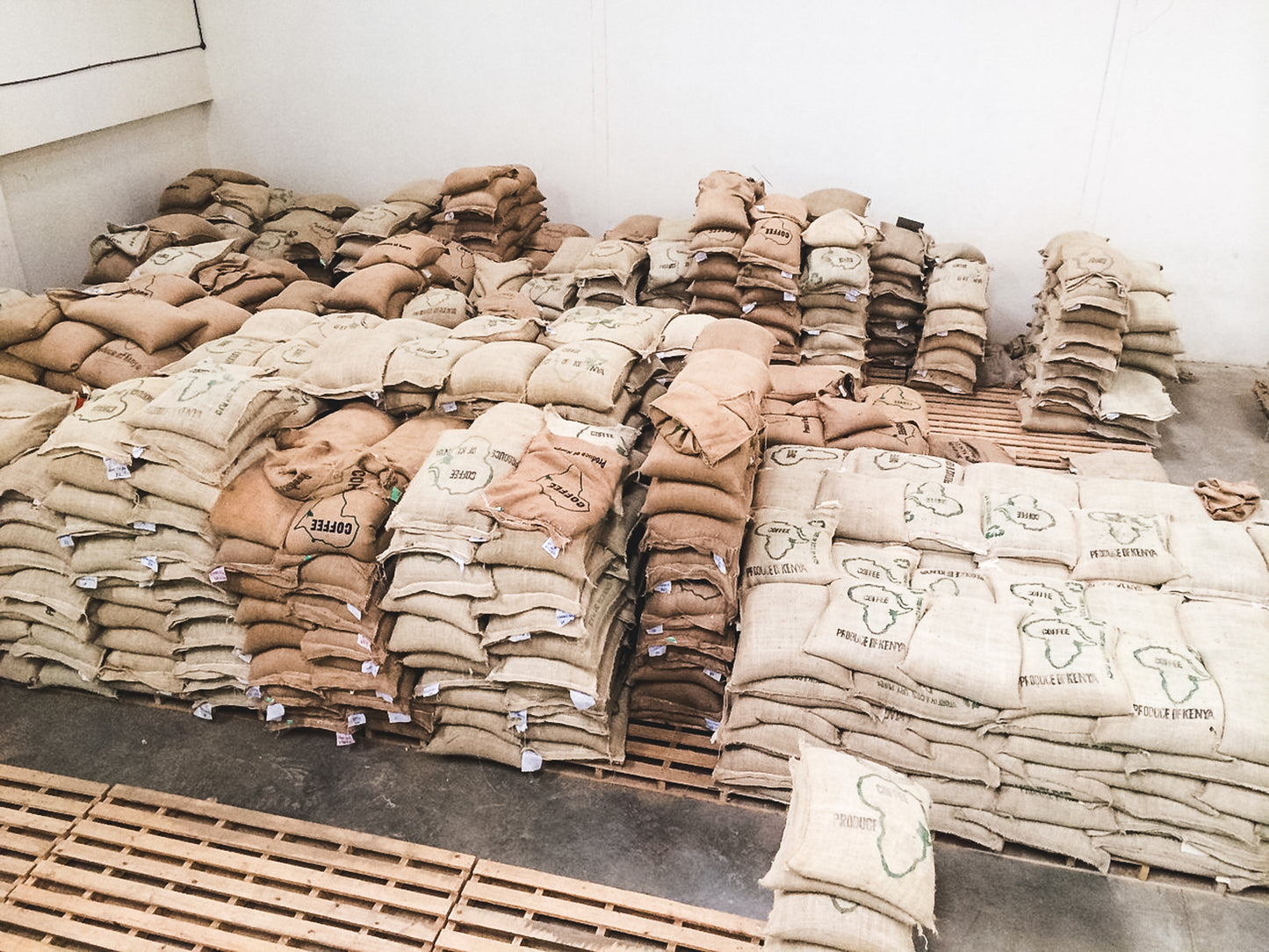 Gicherori / Washed / Kenya / 250g