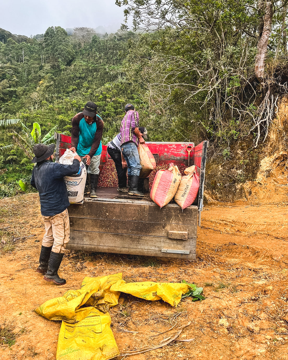 Christmas Coffee / Los Cuarteles / Red Honey / Costa Rica / 250g