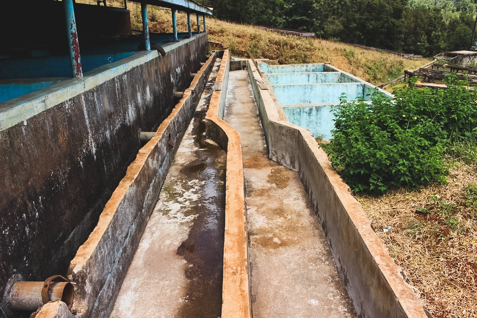 Kamagogo / Washed / Kenya / 250g