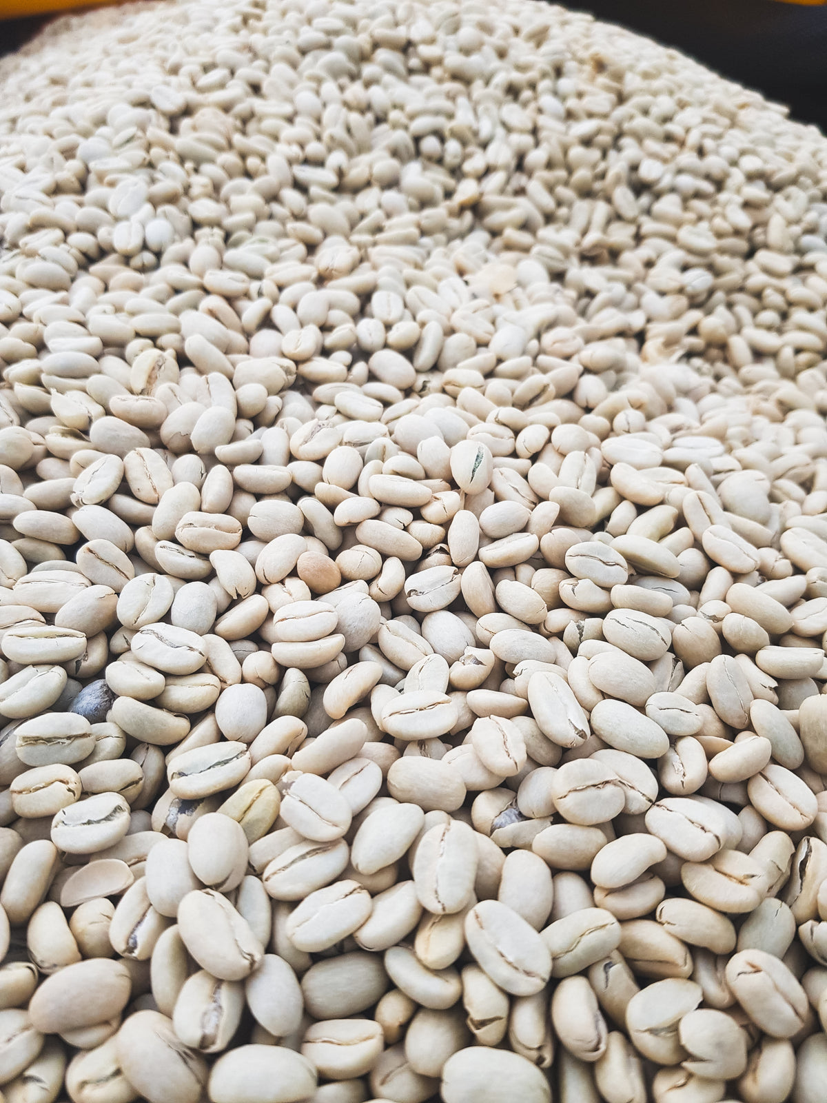 Siko / Washed / Ethiopia / 250g