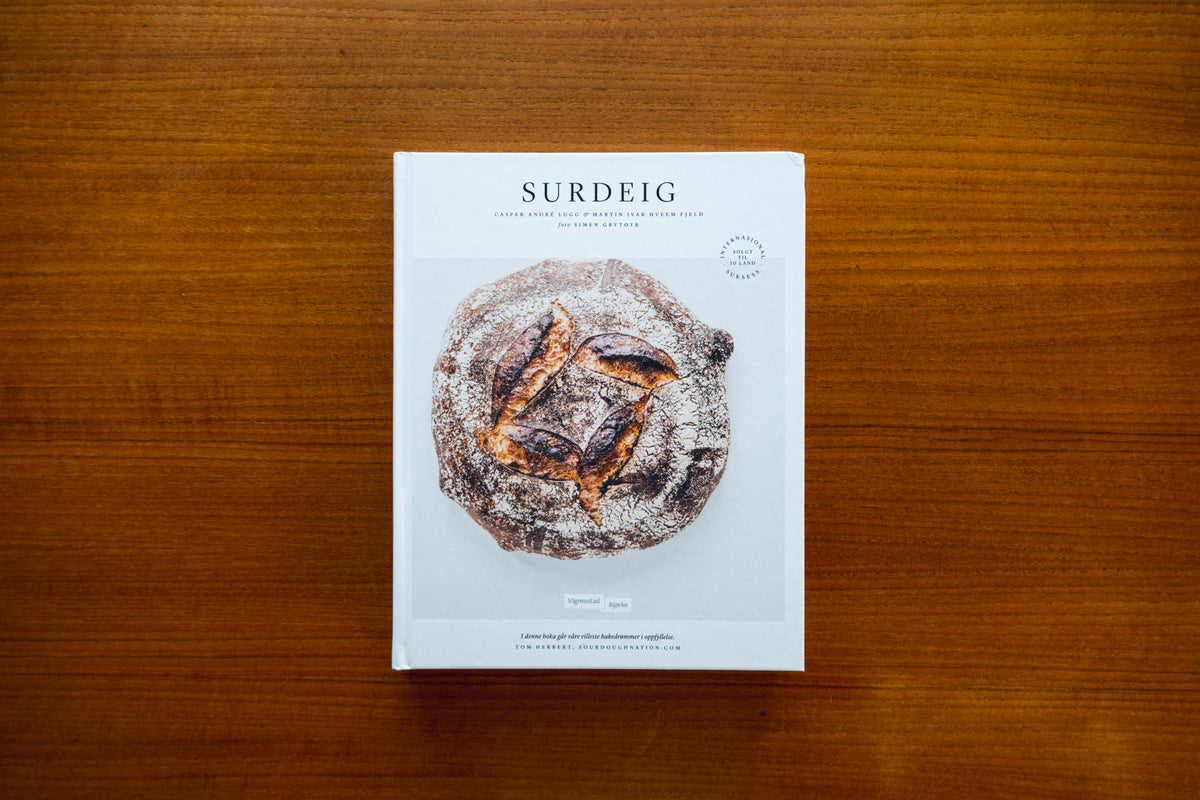 Surdeig by Martin Ivar Hveem Fjeld, Casper Andre Lugg