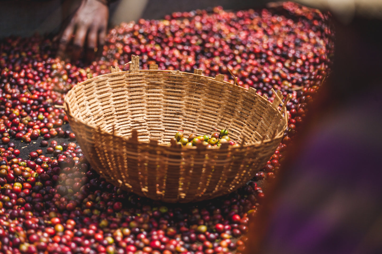 Harmufo / Washed / Ethiopia / 250g