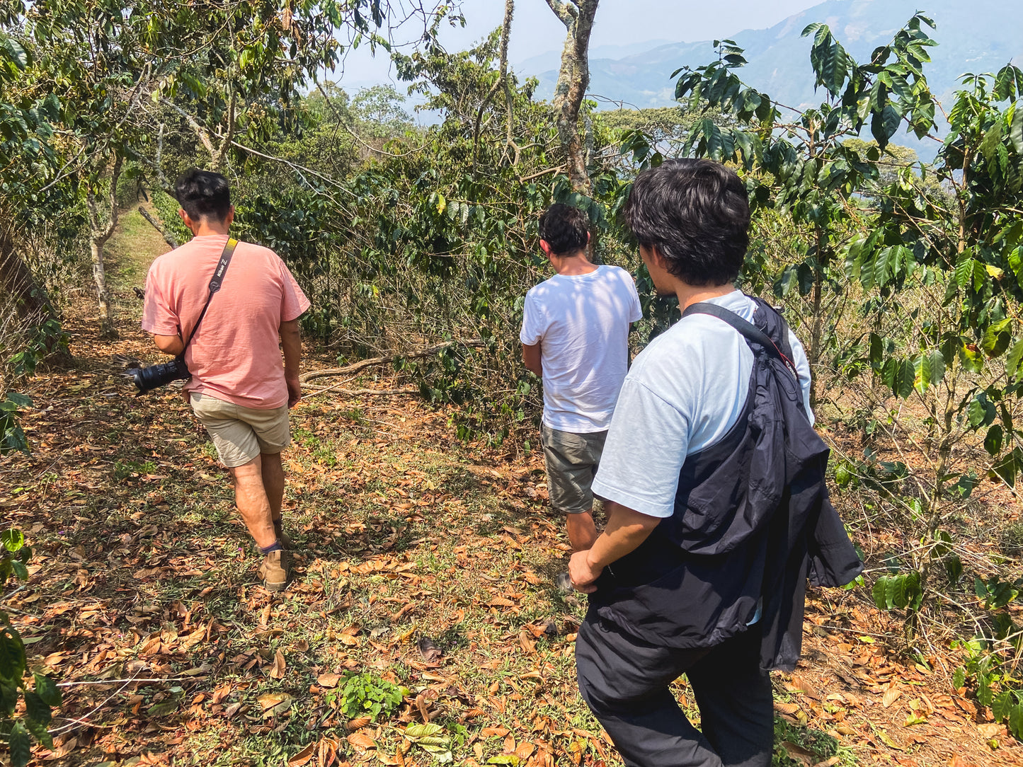 Friends of Fuglen / El Rejo / Washed / Peru 100g