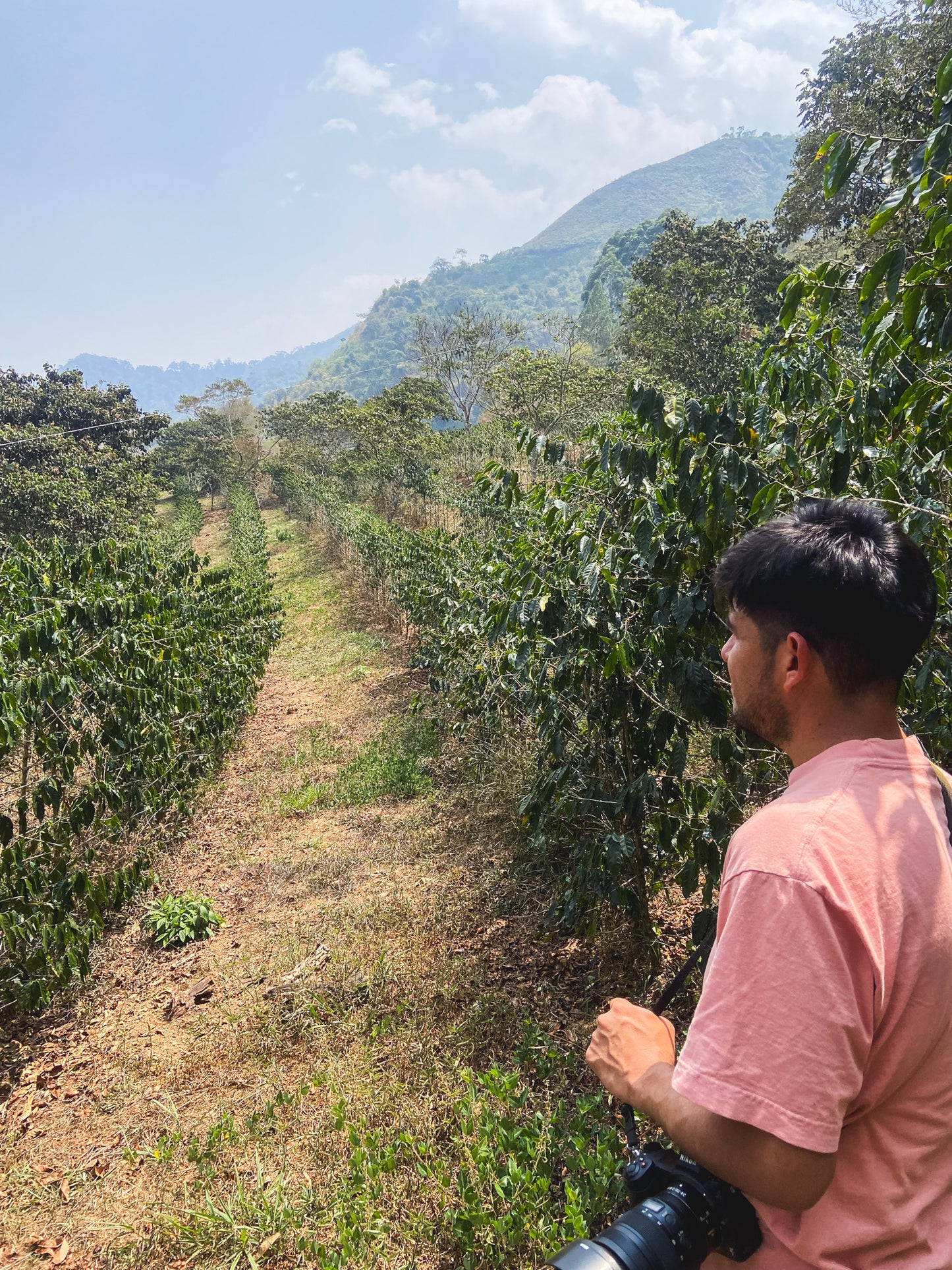 Friends of Fuglen / El Rejo / Washed / Peru 100g