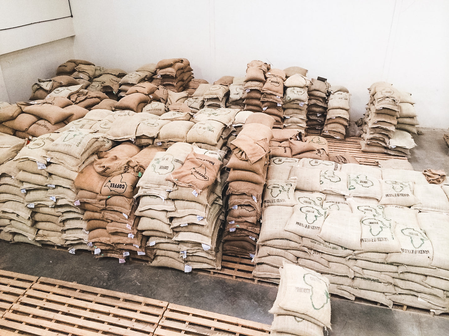 Kii / Washed / Kenya / 250g