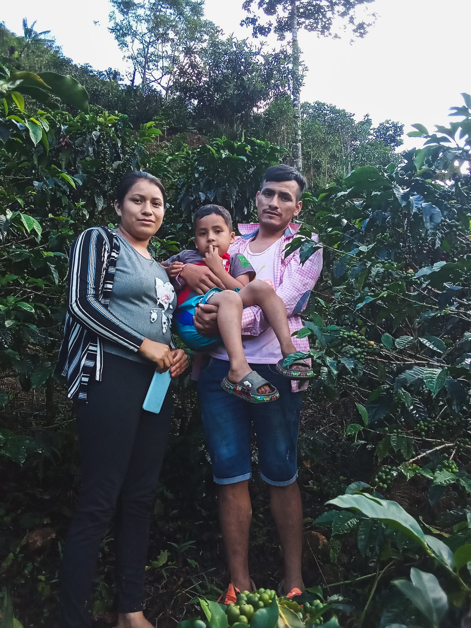 La Chancha / Washed / Peru 250g