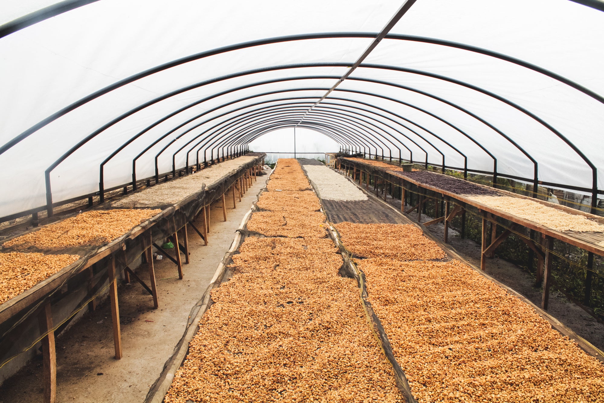 Kerinci / Honey / Indonesia / 250g