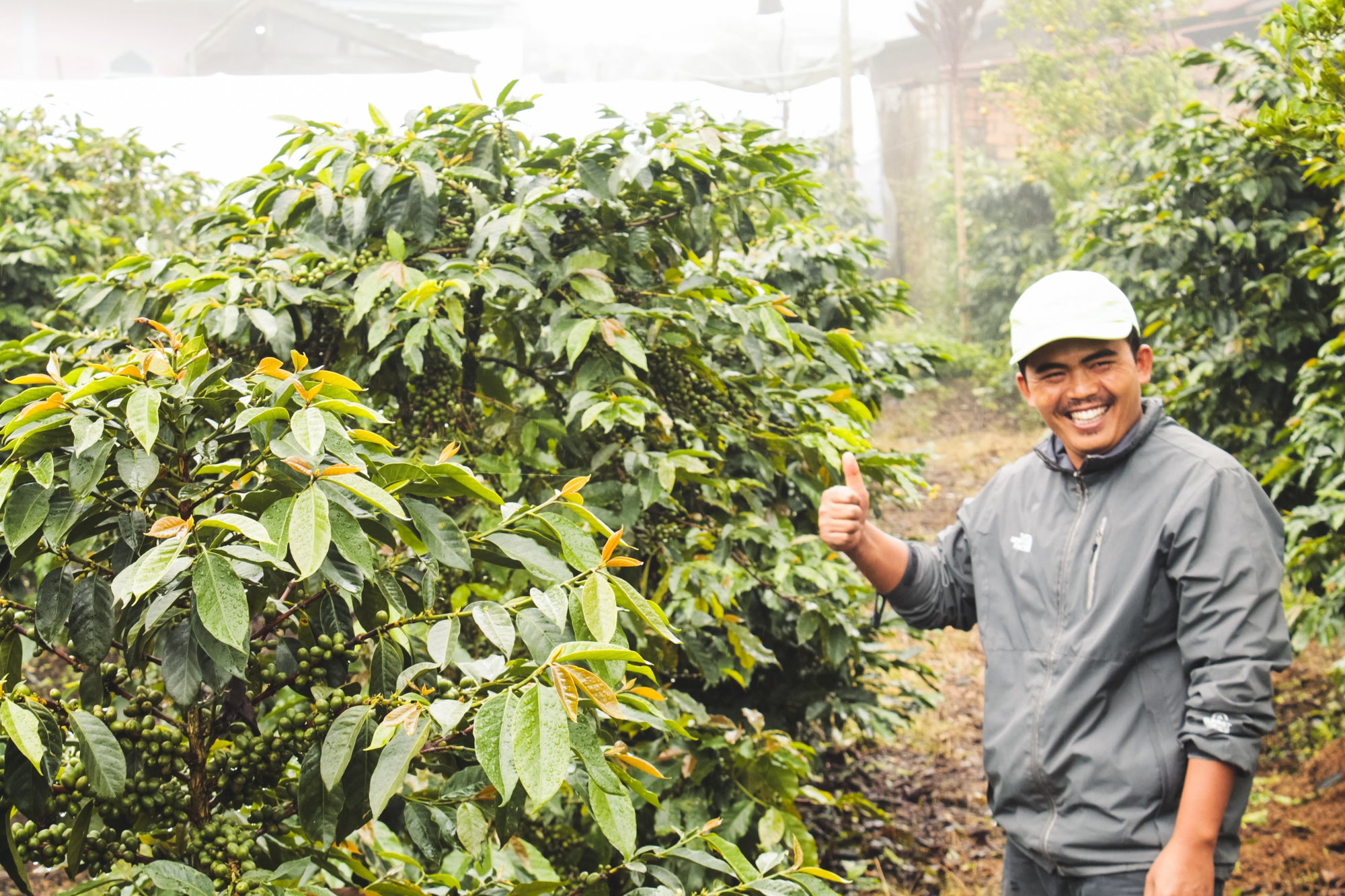 Kerinci / Honey / Indonesia / 250g