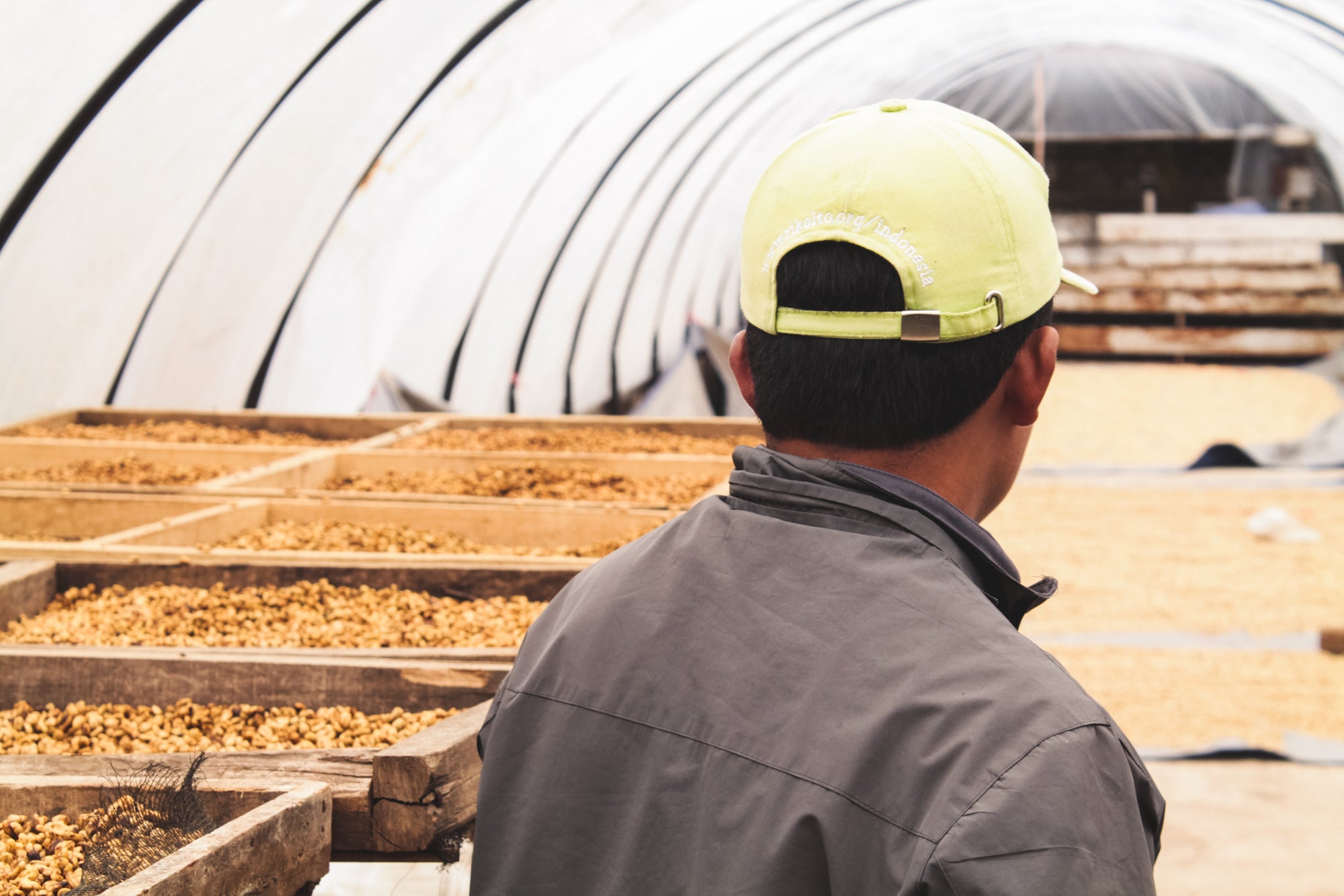 Kerinci / Honey / Indonesia / 250g