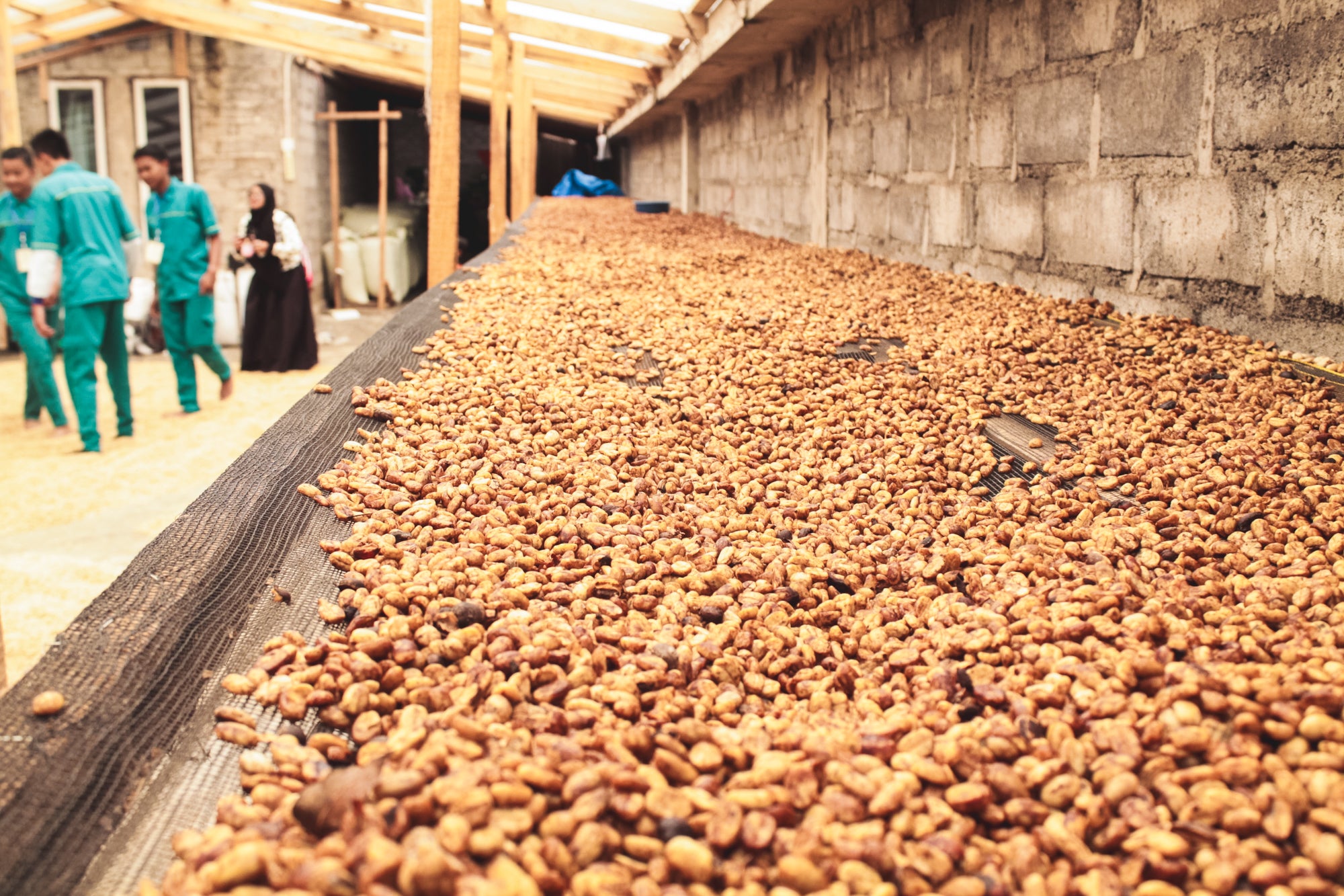 Kerinci / Honey / Indonesia / 250g