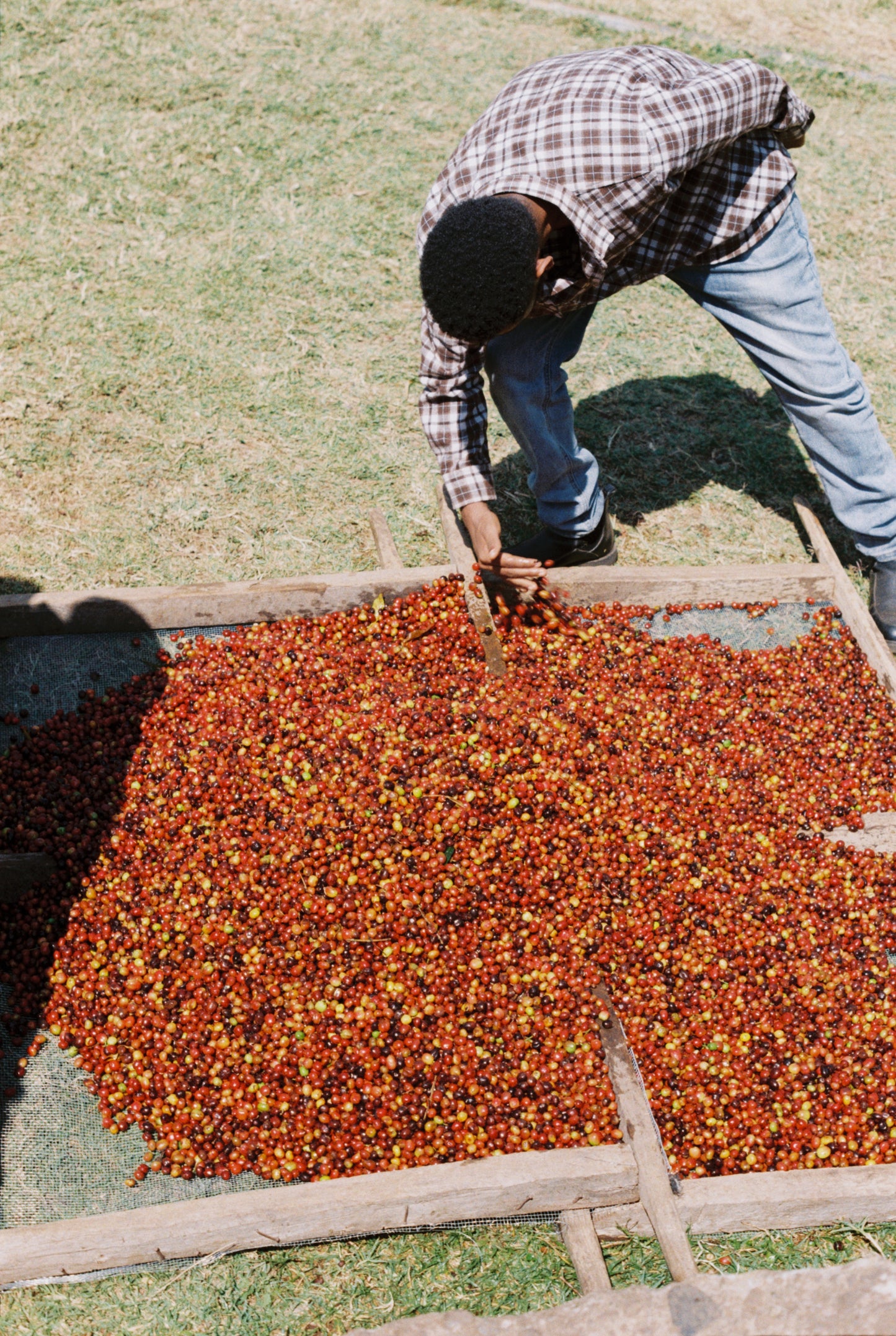 Kokosa / Washed / Ethiopia / 250g