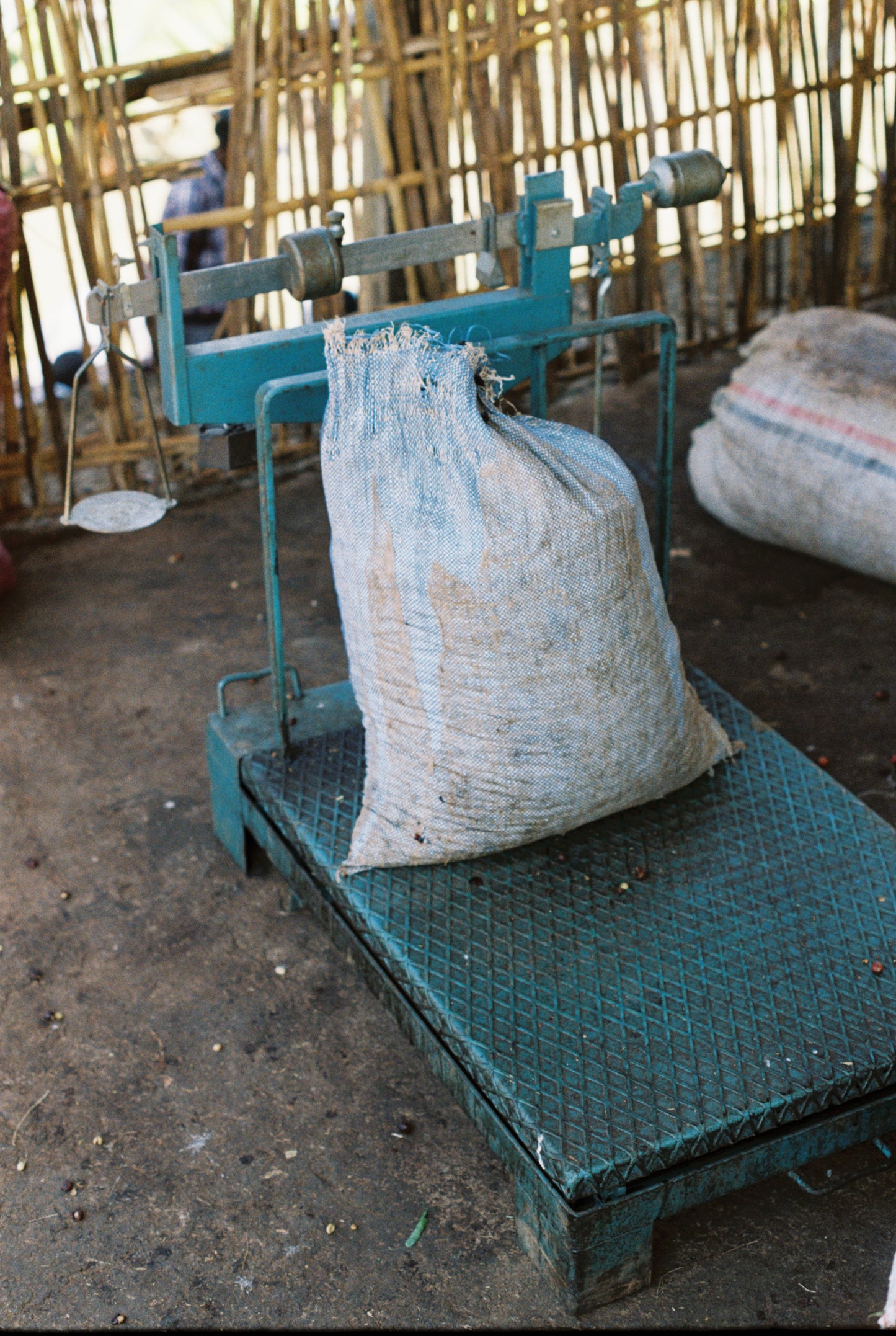 Kokosa / Washed / Ethiopia / 250g