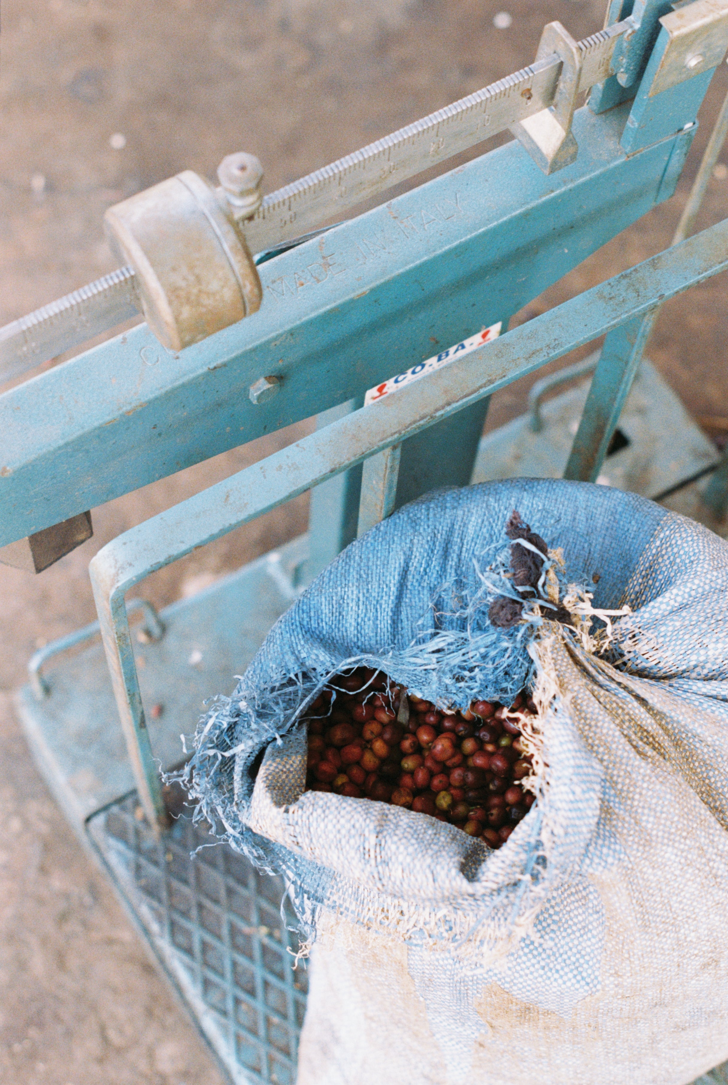 Kokosa / Washed / Ethiopia / 250g