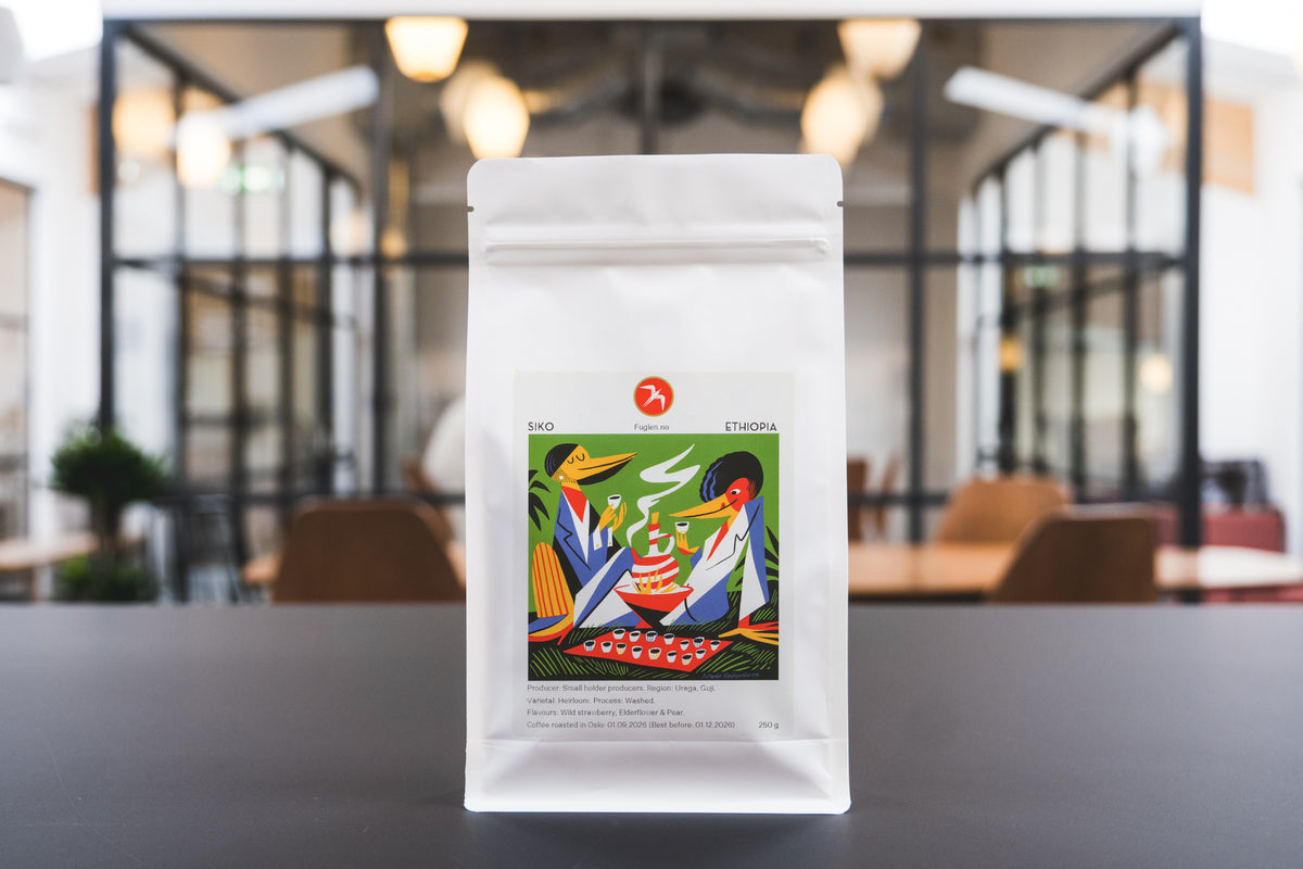 Photo of Siko / Washed / Ethiopia / 250g