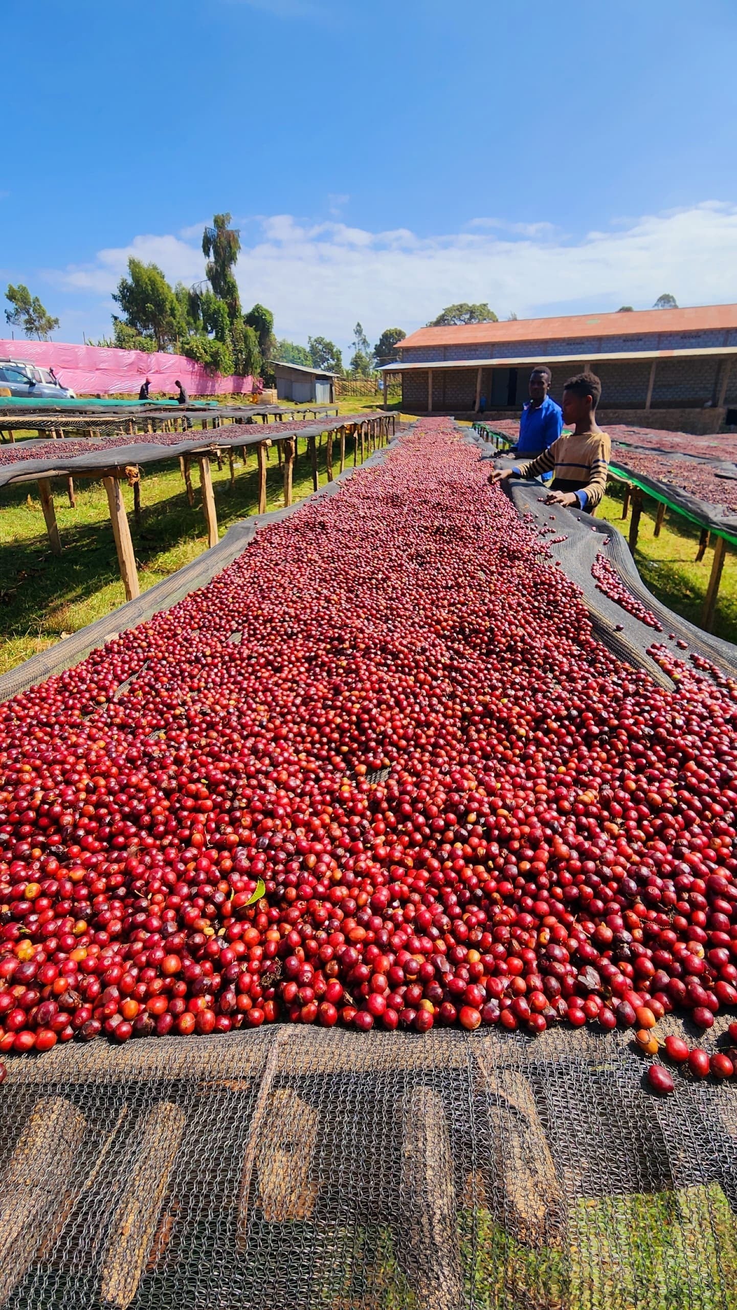 Chelchele Espresso / Washed / Ethiopia