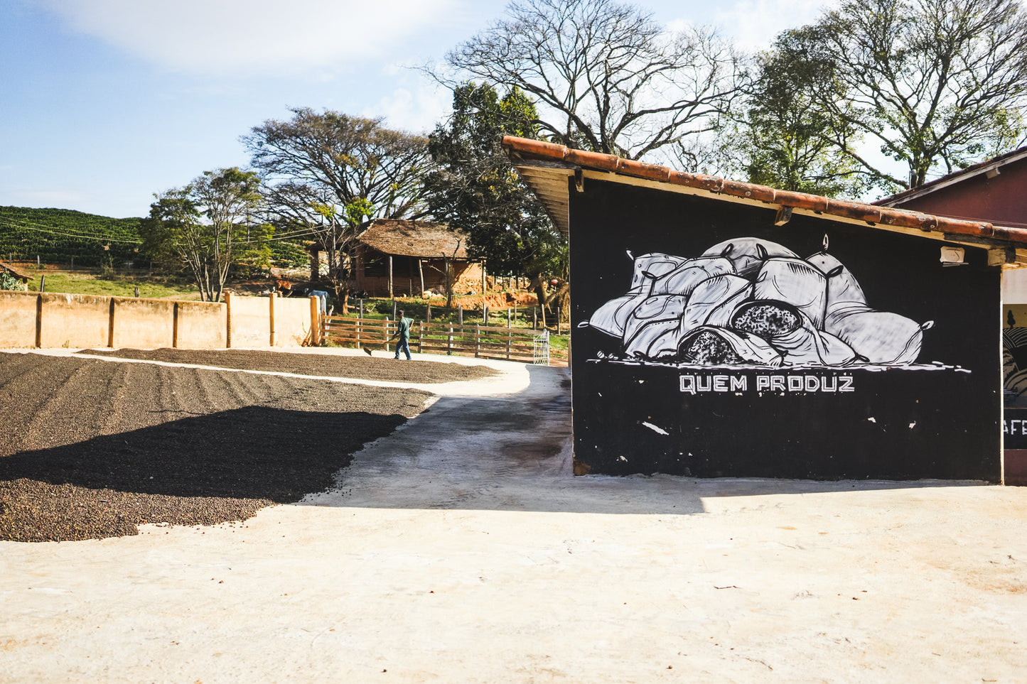 Augusto Borges Espresso / Natural / Brazil 250g