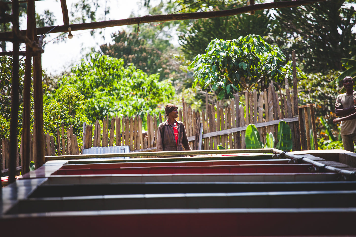 Bensa Segera Espresso / Natural / Ethiopia / 250g