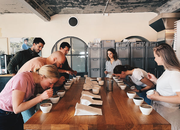 Group Cupping at Fuglen Coffee Roasters