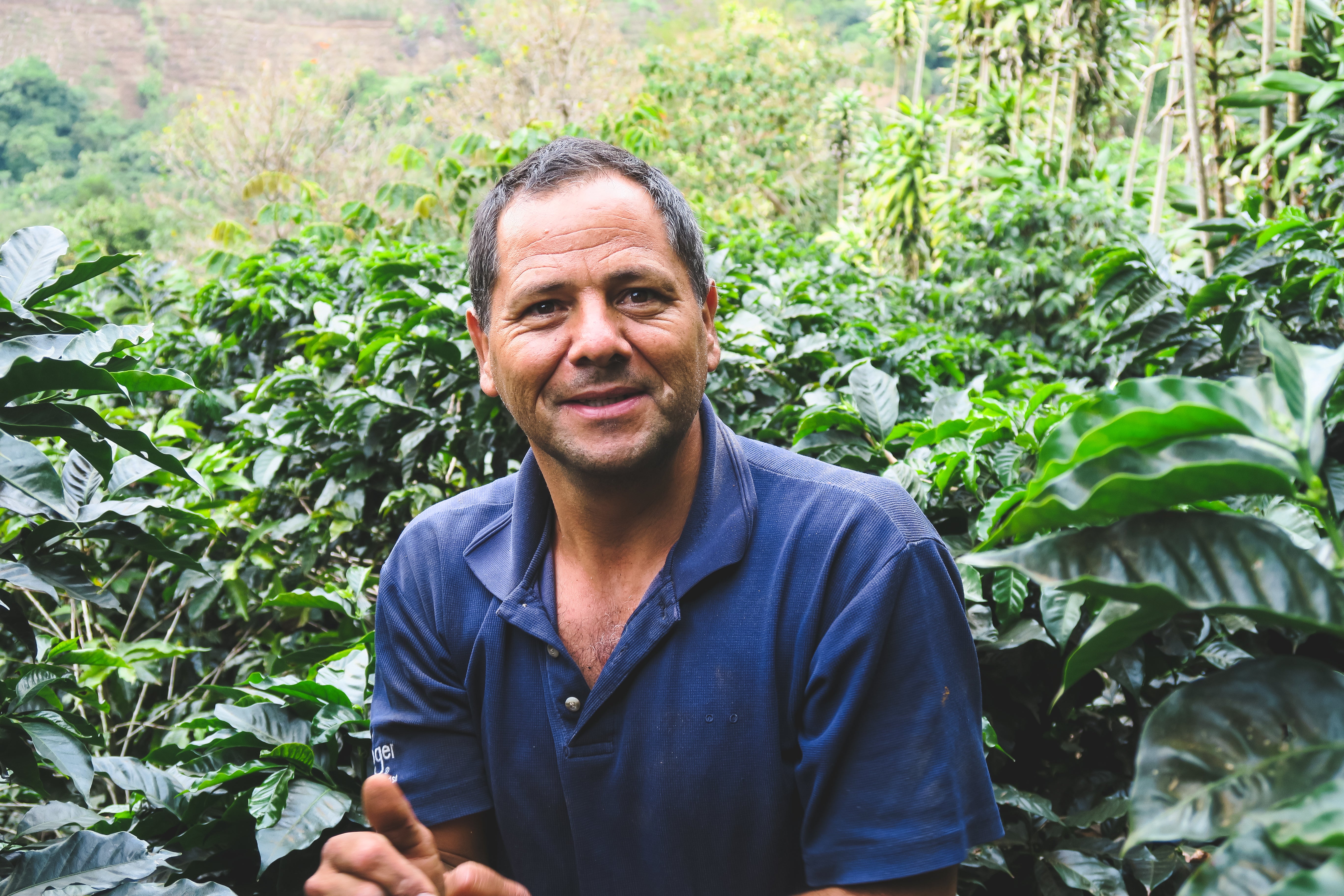 Christmas Coffee / Jaime Cardenas / Honey / Costa Rica / 250g