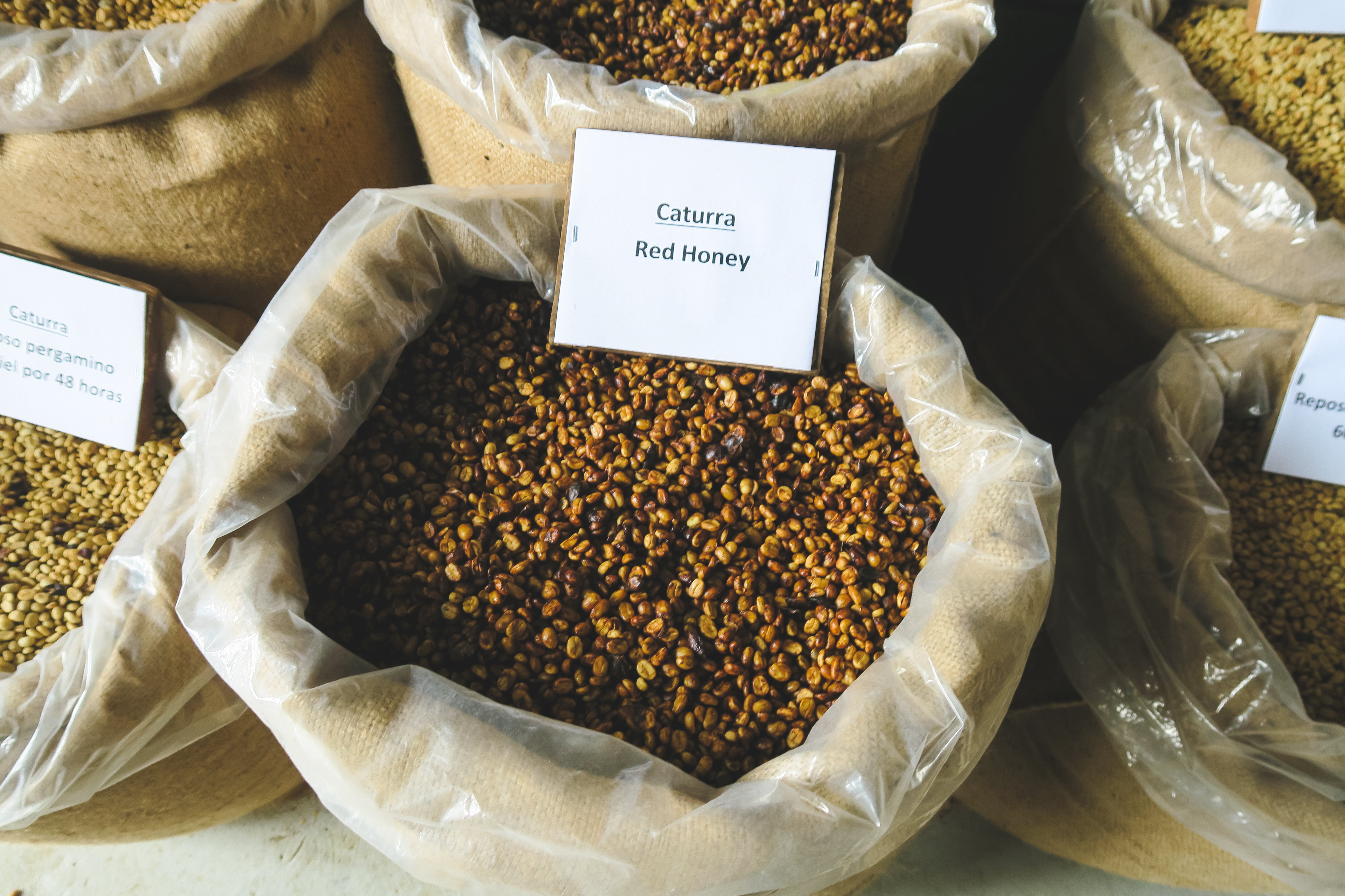 Christmas Coffee / Jaime Cardenas / Honey / Costa Rica / 250g