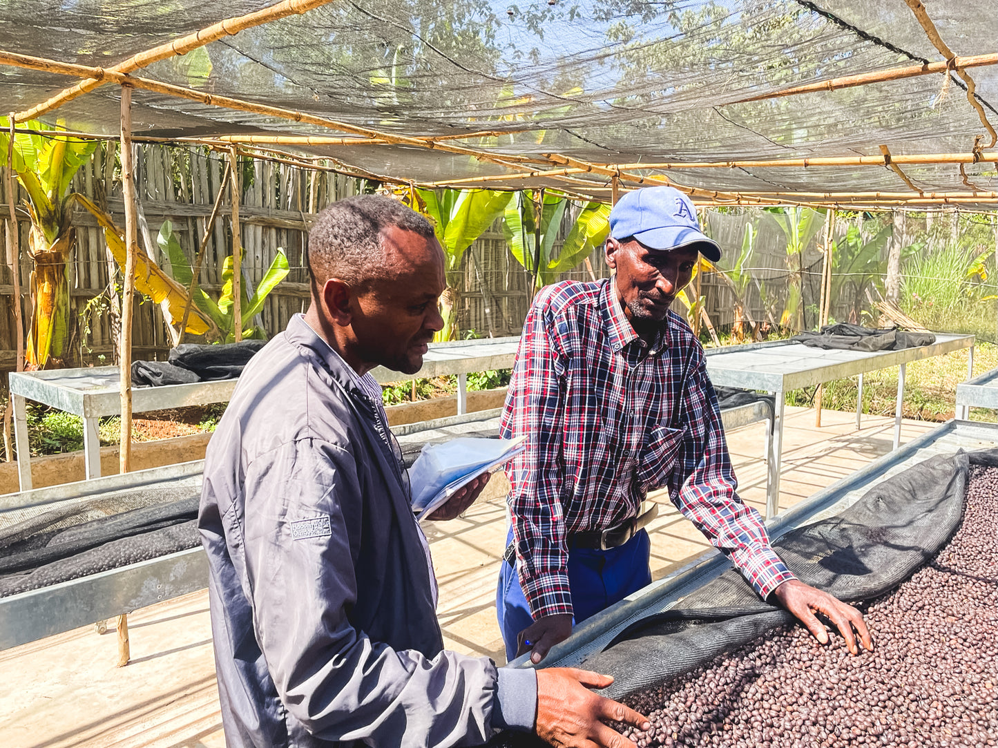 Bensa Segera Espresso / Natural / Ethiopia / 250g