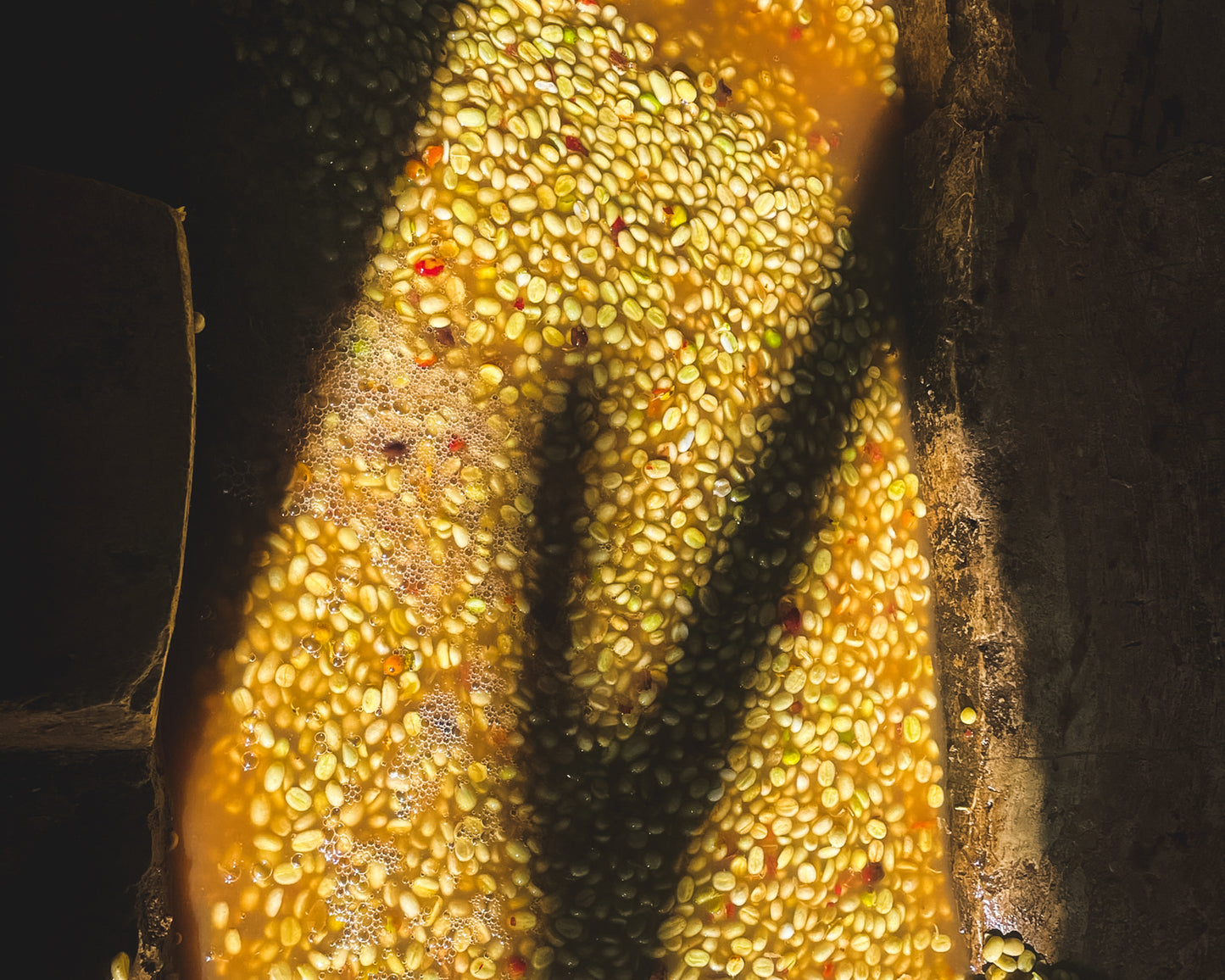 Bensa Segera Espresso / Natural / Ethiopia / 250g